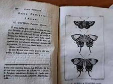 STORIA NATURALE BUFFON 1820 11