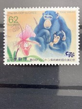 Giappone 1992 protezione