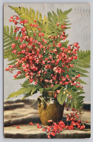 Heuchera sanguinea campane