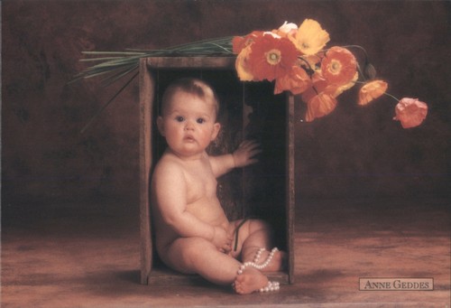 Babies anne geddes baby - babies,