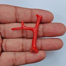 Ramo corallo rosso - di,