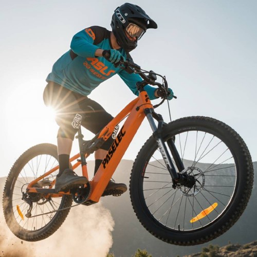 Paselec bicicletta elettrica - bicicletta,