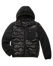 Blauer Albert  Man