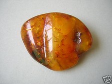 Ambra spilla antico - antico, miele