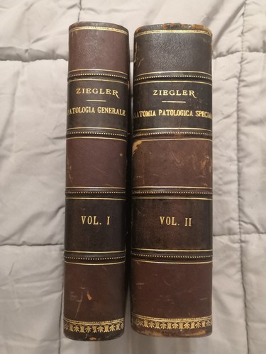 Ernesto ziegler patologia - ziegler,