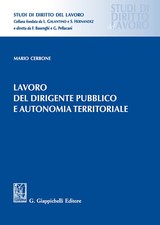 Lavoro del dirigente pubblico