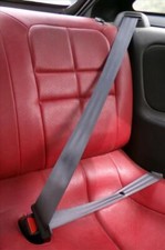 cintura di sicurezza