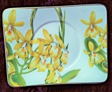Villeroy & Boch Amazonia -