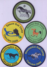 Boy Scout Badges CAMJAM 2006