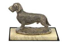 Bassotto a pelo duro -