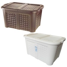 Baule con Coperchio Plastica