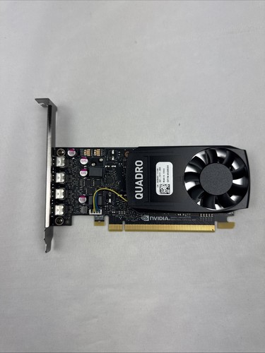 Nvidia quadro p1000 gddr5 - nvidia, gb