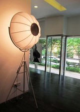 Pallucco, Fortuny Moda