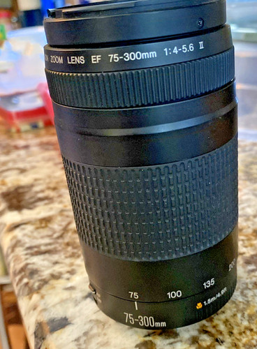 Canon 300 4 5 - mm, f/4-5.6