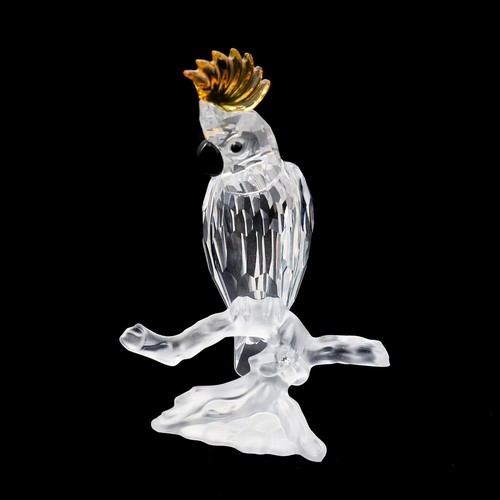 Swarovski cacatua fuori - swarovski,