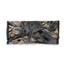 Nuovo acquario - nuovo, 3d