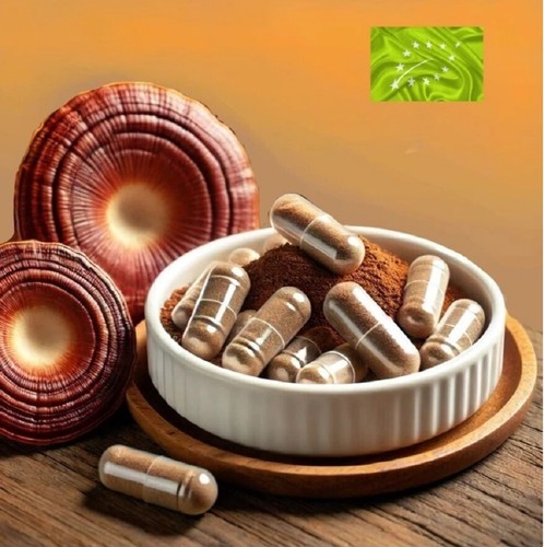 100 ganoderma lucidum - ganoderma, lucidum/reishi