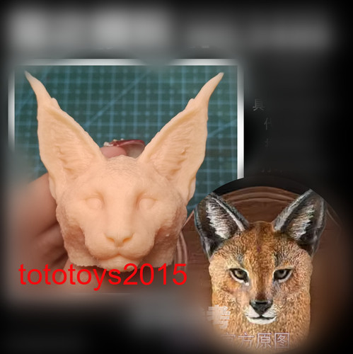 18 caracal testa - 1:6, 1:12