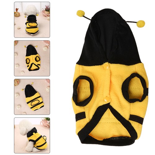 Pet transformation costume - pet,