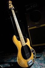 Music man stingray 2000 - stingray, ex