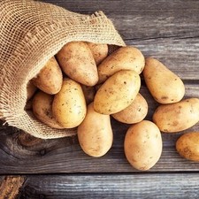 Semi patate assol 02 g - patate, 0,02