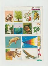 IL GIORNALINO STICKERS