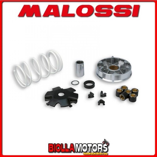5113790 variatore malossi - 5113790,