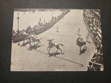 PALIO DI SIENA IL PALIO