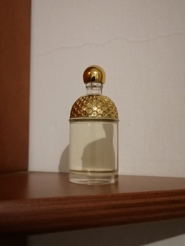 Aqua allegoria pamplelune - aqua,