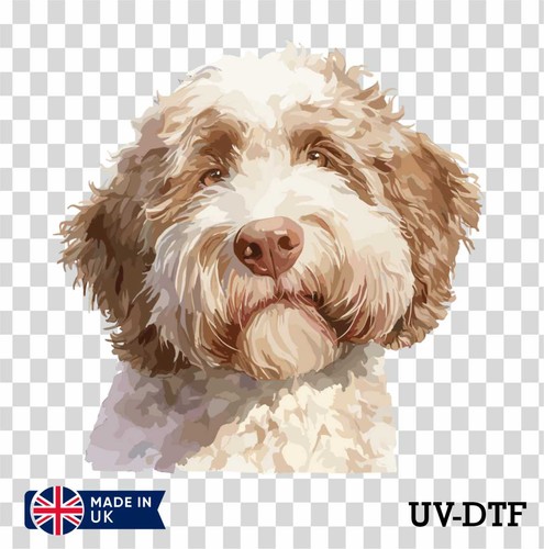 Adesivo lagotto romagnolo - adesivo,