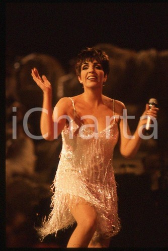 Liza minnelli festival - minnelli,