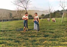 Pasquale Celommi foto A4