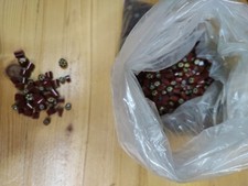 Murrine di vetro di Murano 