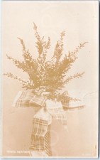 RPPC Vintage Postcard White