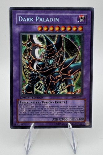 Dark paladin duel - oh-dark, paladin-duel