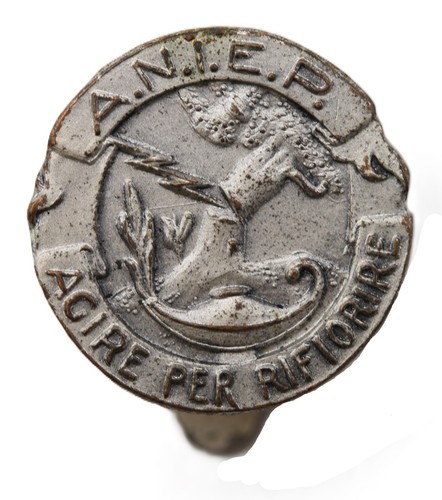 Distintivo aniep associazione - distintivo,