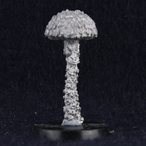 C14 snotling mushroom - mushroom, mushling