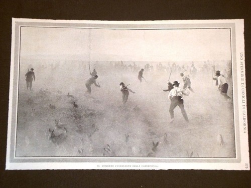 Rara stampa dei - primi, 1900