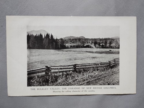The buckley valley canada - buckley,