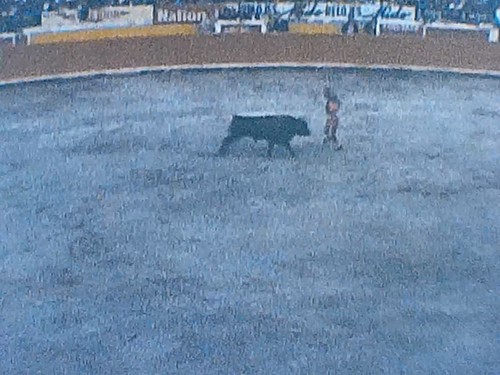 Film corrida super 8mm - , vintage