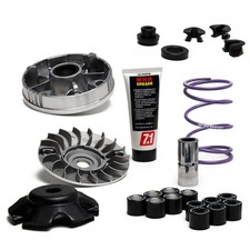 VARIATORE MALOSSI TEAM 2 PER