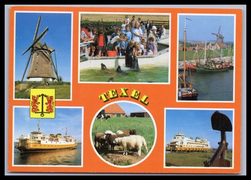 Cartolina texel olanda - texel,