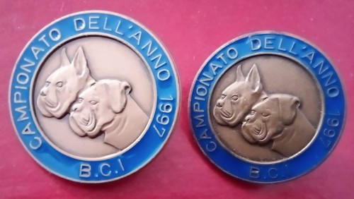 Spille medaglie campionato - spille,