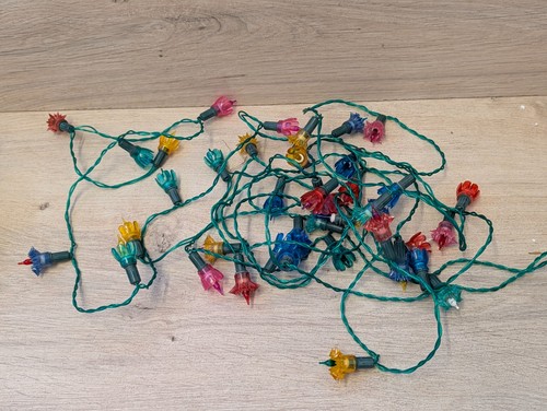 Luci fata natale - fata, fiori