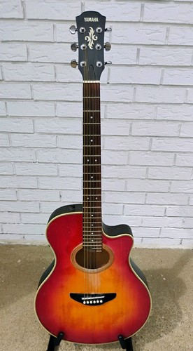 Chitarra elettrica acustica