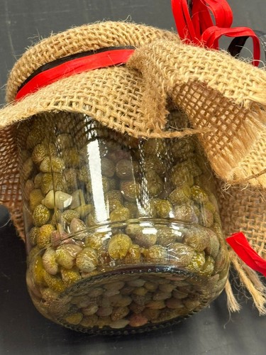 Capperi piccoli sotto sale - capperi,