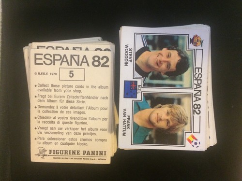 Panini new - panini,