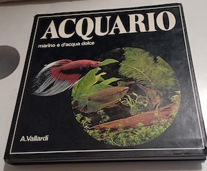 Acquario marino acqua - e, d'acqua