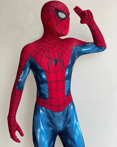 Tams costume uomo - uomo, ragno