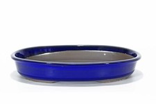 Vaso bonsai ovale cm - bonsai,